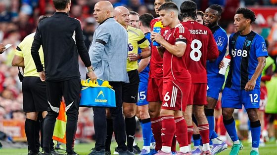 في الكورة : إحالة مشجع ليفربول إلى المحكمة بتهمة الإساءة العنصرية لخليفة محمد صلاح