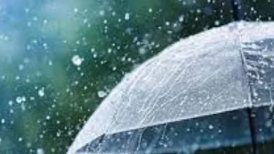 في الكورة : شبورة وأمطار وانخفاض حرارة.. الأرصاد تكشف تفاصيل حالة الطقس الأسبوع المقبل