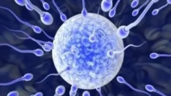 في الكورة : متبرع حيوانات منوية يضع 14 دولة أوروبية فى مأزق.. اعرف القصة