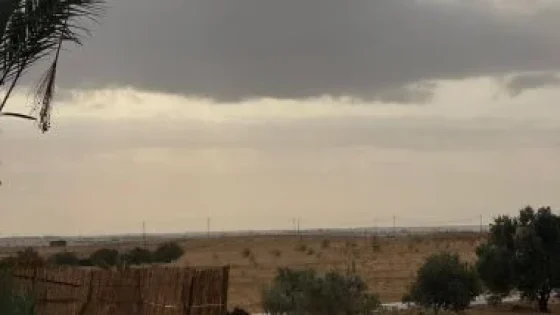 في الكورة : حالة الطقس.. سحب ممطرة على السواحل الشمالية الشرقية وأمطار متفاوتة الشدة