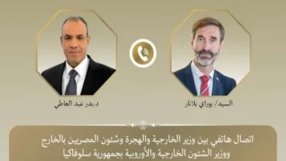 في الكورة : وزير الخارجية يؤكد أهمية ضمان استدامة وقف إطلاق النار فى غزة