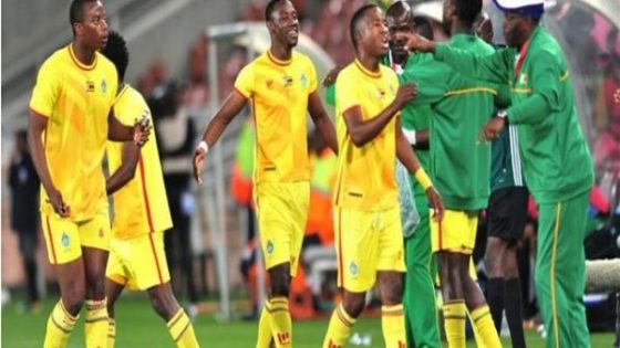 في الكورة : تقييمات متواضعة لزيمبابوي في الشوط الأول