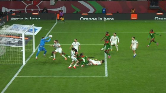 في الكورة : بالترددات.. القنوات المفتوحة الناقلة لمباراة الجزائر والكونغو الديمقراطية اليوم في كأس أمم إفريقيا